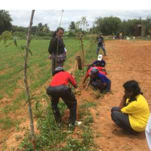 On field curriculum farm visit