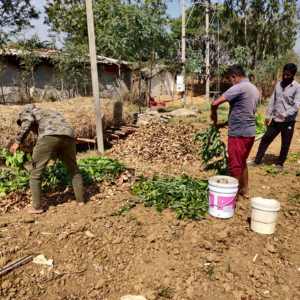 Pile compost making in Community farm