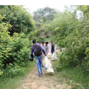 Cleanup drive in Bannerghatta forest